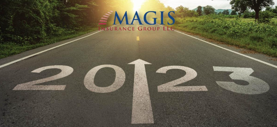 Magis Insurance Group